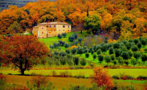 TOSCANA-IN-AUTUNNO
