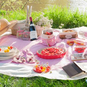 maison-du-mond-pic-nic-2