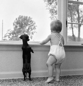 baby-and-dog