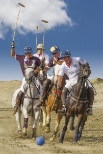 Viareggio Beach Polo (2014)